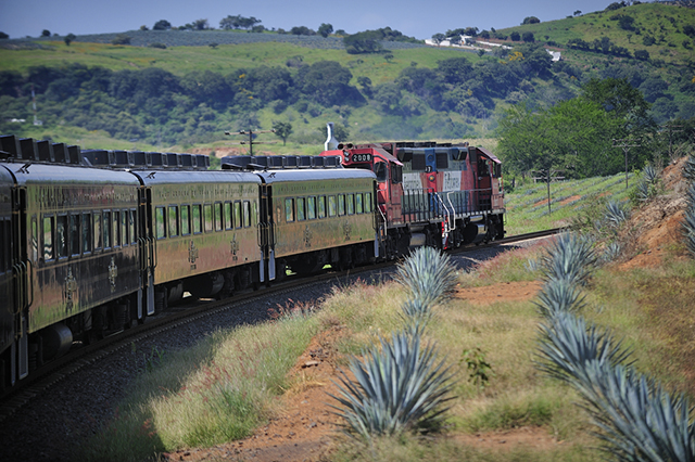 Respalda Senado reforma que posiciona a sector ferroviario como impulsor de la economía