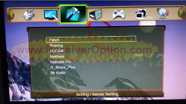 REDVISION P12 HD RECEIVER NEW SOFTWARE WITH G SHARE PLUS OPTION