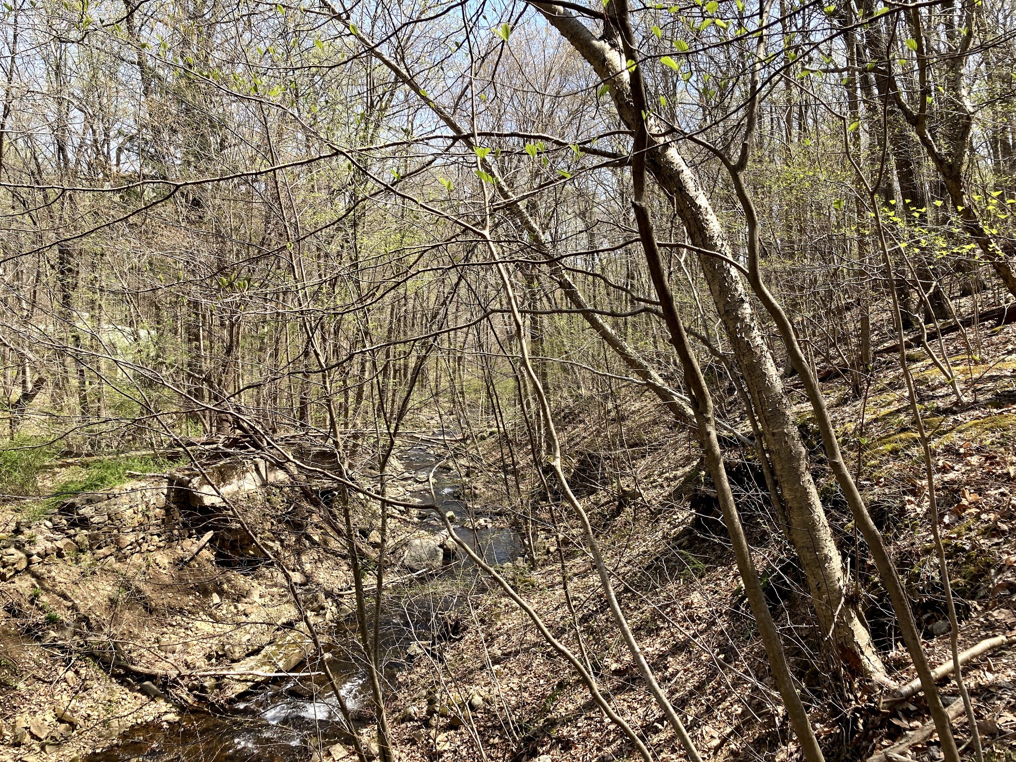 Brass Castle Creek, Roaring Rock Park, Washington Twsp,
          Warren County