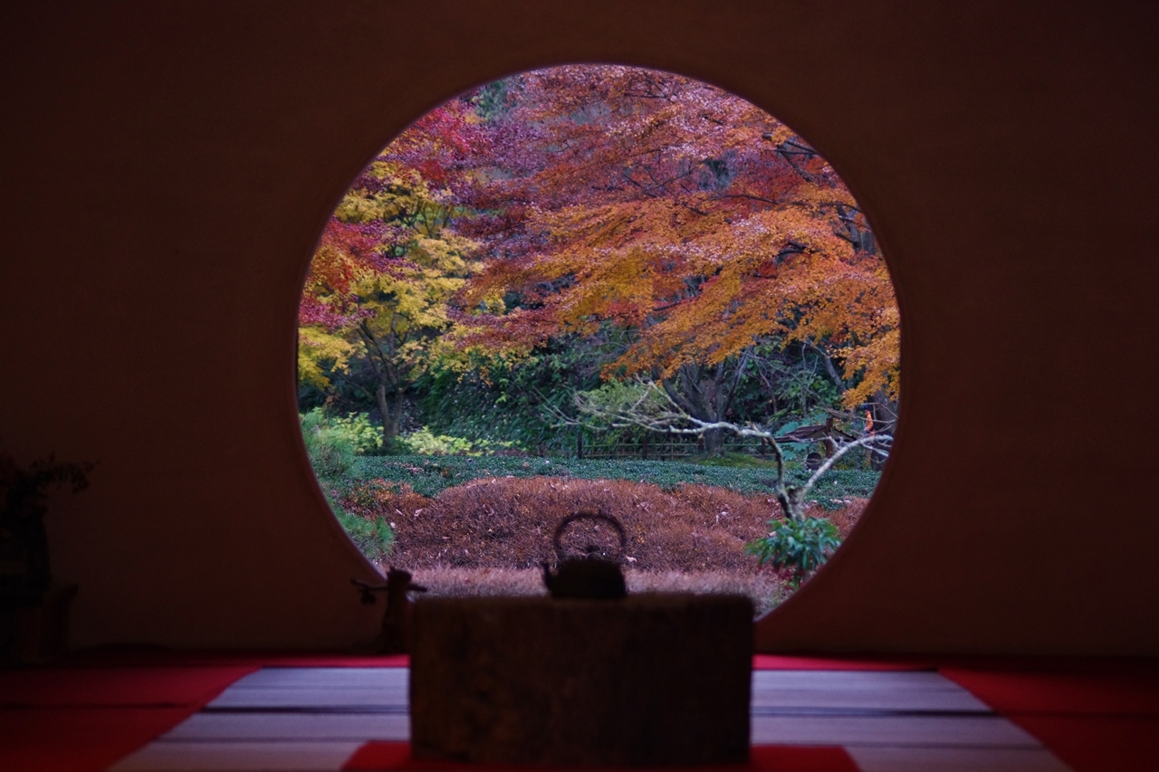 のりえレシピ 明月院の紅葉 ピッツェリアｇｇ鎌倉