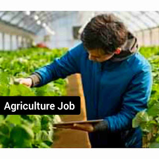 Odisha Agriculture Department Recruitment