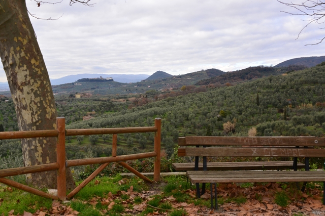 MONTALBANO-TOSCANA