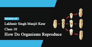 Solutions of How do Organisms Reproduce? Lakhmir Singh Manjit Kaur VSAQ, and SAQ Pg No. 141 Class 10 Biology