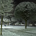 ...snowy evening....