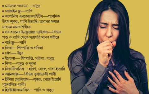 জুনোসিস কী? বাঁচবেন কীভাবে?