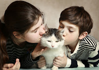 L'Euthanasie chez les animaux : comment en parler à vos enfants ?L'Euthanasie chez les animaux : comment en parler à vos enfants ?