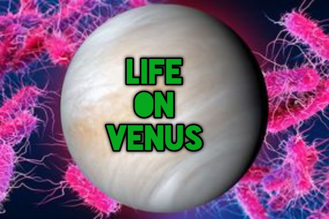 Is there life on Venus? New Zealand company heading there to find 