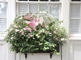 southern states window box shade