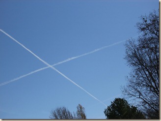 X Marks the Spot in the Hollow