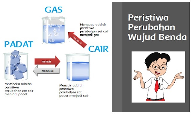  Materi dan Kunci Jawaban Tematik Kelas  Materi dan Kunci Jawaban Tematik Kelas 5 Tema 7 Subtema 1 Halaman 22, 24, 25, 26, 28