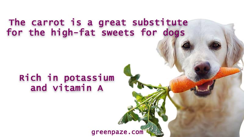 carrot for dog health
