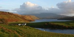 01 11 cottages B45