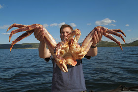 King Crab