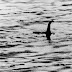 Kínai "Loch Ness-i szörnyet" láttak a Jangce folyóban