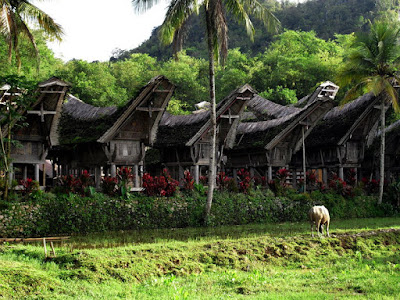 Rumah Tongkonan Tana Toraja