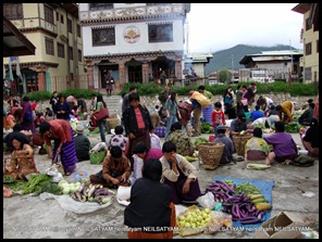 India Bhutan Paro Thimpu (94)