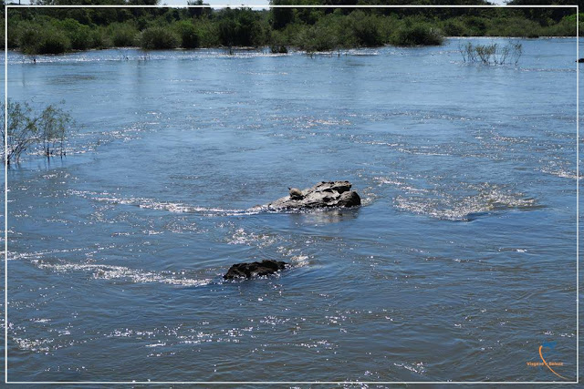 Rio Iguazú, no lado argentino!