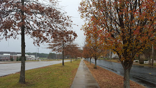 sidewalk at the Oak St/Horace Mann schools