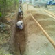 View album