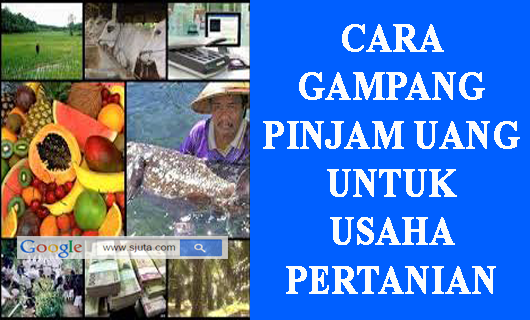 Pinjaman Uang Untuk Usaha Pertanian