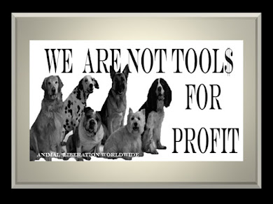 OUR COMPANION ANIMALS ARE NOT PRODUCTS TO BE MANUFACTURED