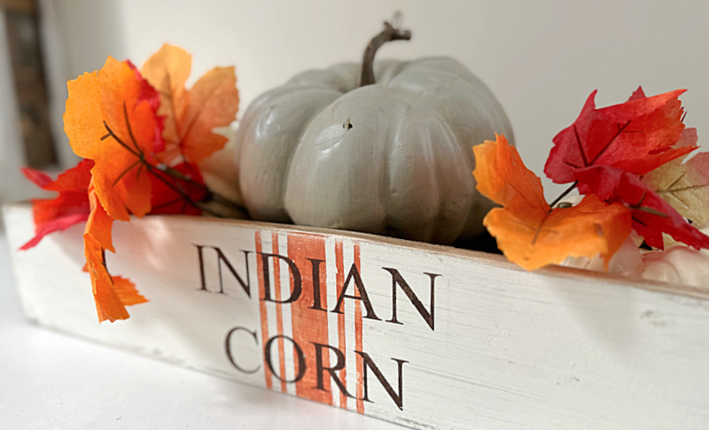 indian corn crate with pumpkins and leaves