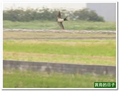 20111222_123922_010_Yuenli1