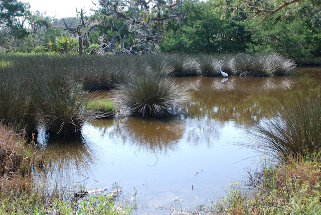 Jekyll Island