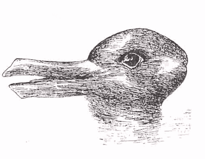 Rabbit or Duck illusion