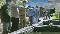 Pringsewu Bakal Jadi Sentra Produksi Ikan Koi Hias