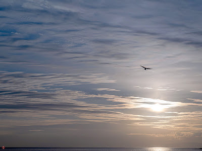 Evening sky: Yuigahama-beach