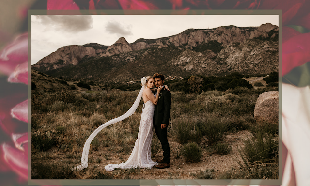 blonde bride long veil