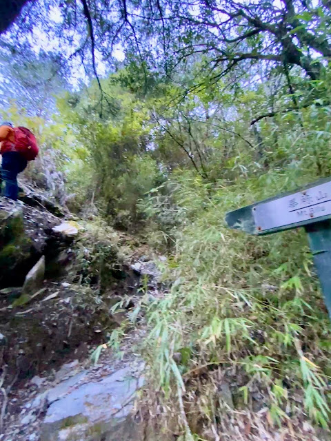 林道盡頭登山口