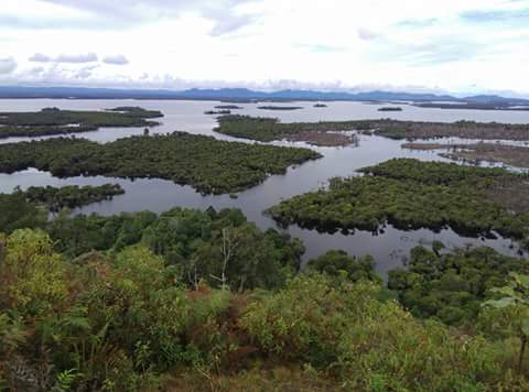 Libur Lebaran, Wisatawan Padati Danau Sentarum