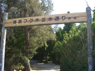 CIMG2832