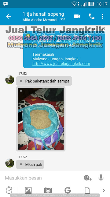 JUAL TELUR JANGKRIK testimoni PART3 dari pelanggan