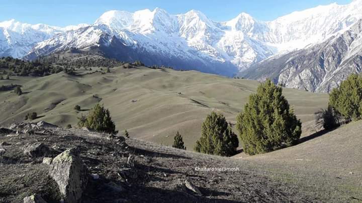 Miar groups Miar Chhish I 6824 m, Bulche groups Bulche I 7016 m, Jut Sar groups Jut Sar center 6800 m. Khun meadows Khaltaro. meadows in Haramosh valley. Rakaposhi Haramosh Mountains in Khaltaro. Karakorum mountain range Khaltaro