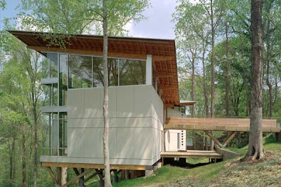 Modern Tree House, recident house design, modern house design, interior design