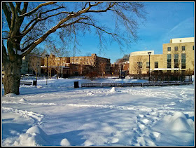 Invierno 2013-2014 Cambridge