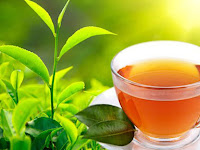 Sri Lanka to sign MoU with China to market Pure Ceylon Tea both online and offline.