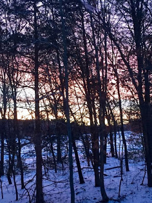 Winter sunrise through the trees