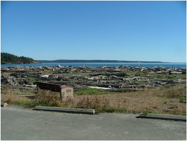 Jackson Beach on San Juan Island