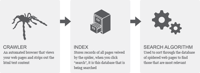 crawl-index-search