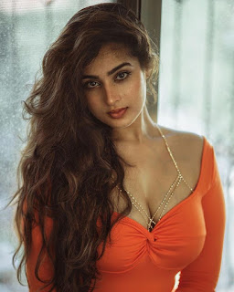 Ayesha Khan boobs