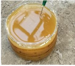 Local Liquid Microorganism of Hyacinth.