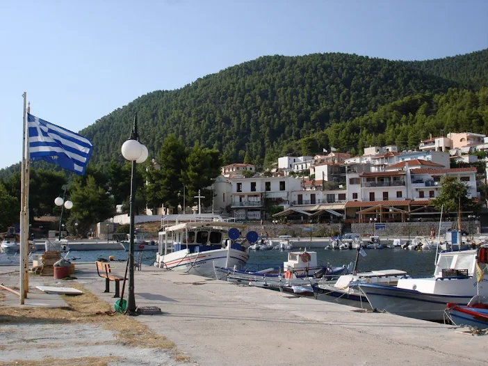Απάντηση του Δημ. Συμβούλου Γιώργου Κοτανίδη περί της κοπής πεύκων στο Ν.Κλήμα Σκοπέλου