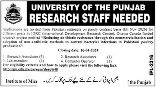 Vacancies Announcement At UOP University Of Punjab Lahore 2024