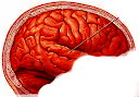 Improving memory power tips How Quickly Improve Memory In Brain