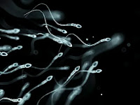 Sperm Counts are dropping across the world, and the decline is accelerating.