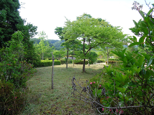 南部町カントリーパーク